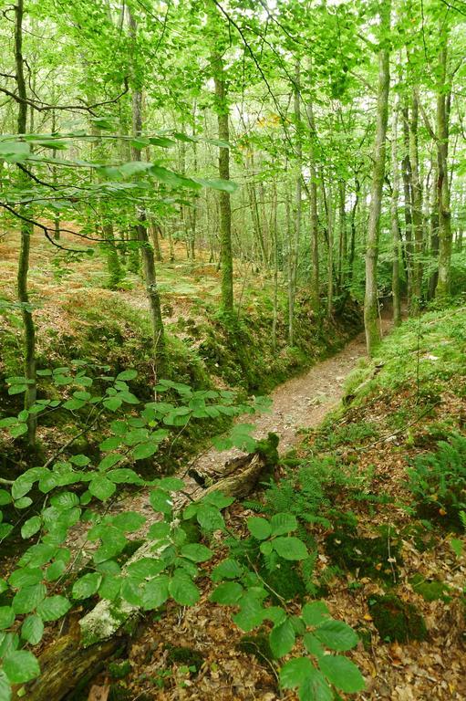 La Cage Aux Oiseaux Panzió La Lande-de-Goult Kültér fotó